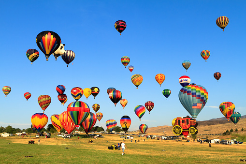 Great Reno Balloon Races Lift Off